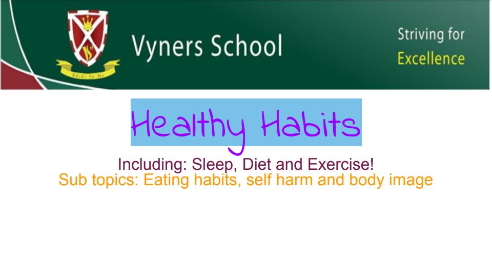Click here to download Workshop 2 - Healthy Habits presentation